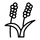 Aata